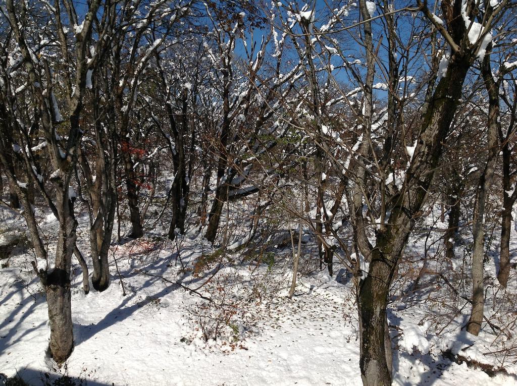 Myoko Kogen Pension Yamasan Eksteriør billede