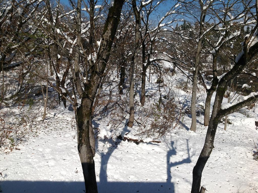 Myoko Kogen Pension Yamasan Eksteriør billede